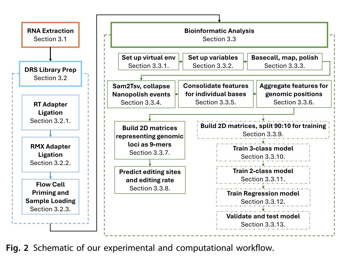 Step-by-step guide to detecting A-to-I editing! Nanopore sequencing to detect A-to-I editing sites. #nanopore #DRS #Edit doi.org/10.1016/bs.mie…