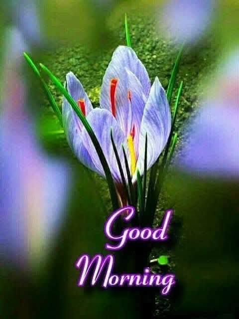 AshutoshMokash2's tweet photo. https://t.co/PcbCH7fNzc