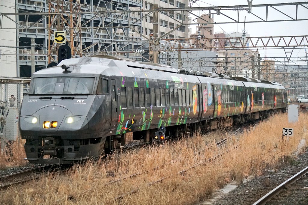 鹿児島中央駅に特急ピクミン号が入線！ 今日から787系のピクミン
