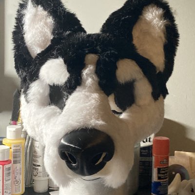 Mr. Scruffles tweet media