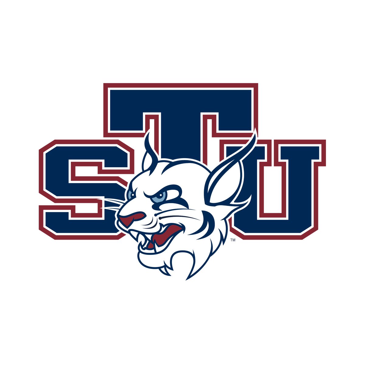 Very Grateful to receive an offer from St.Thomas University🐾 <a href="/STU_Football/">STU Football</a> @TNeymeiyer <a href="/larryblustein/">Blustein Recruiting</a>