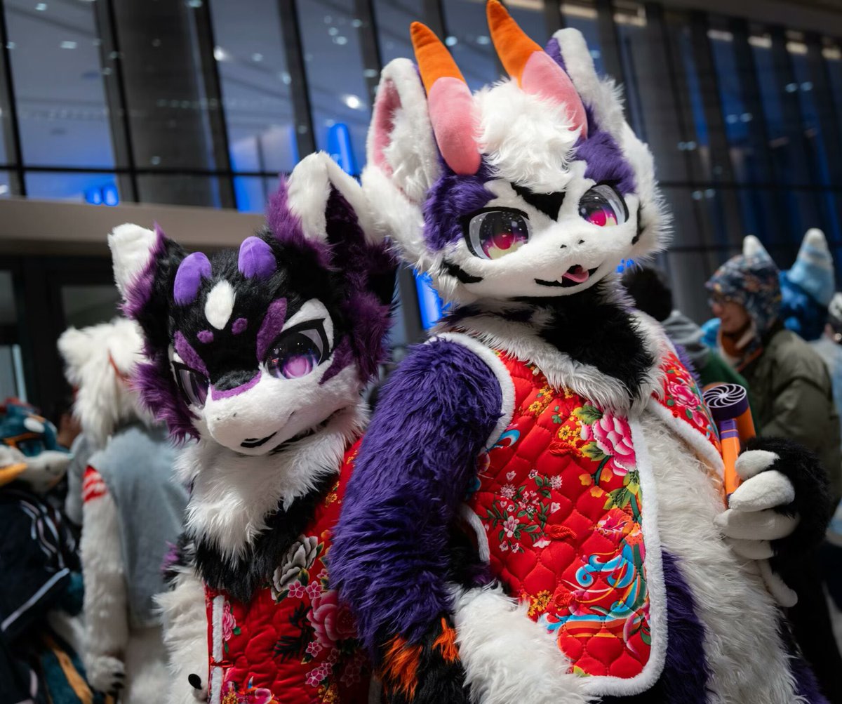 大年初四，四季安康
 #FursuitFriday