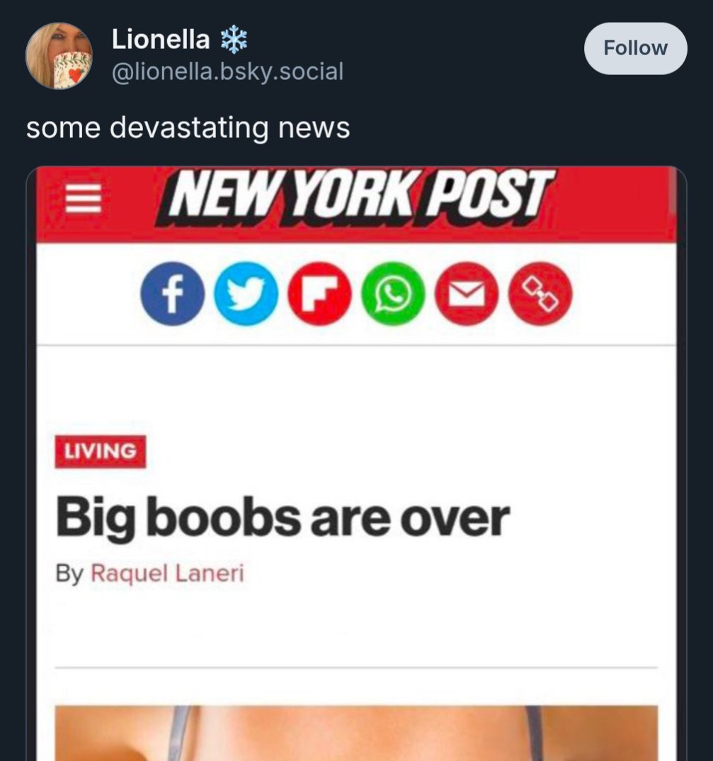 Gecko boi tweet media