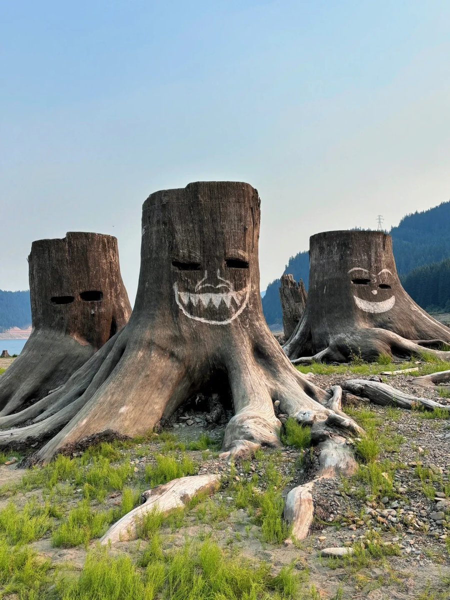 rubywcw's tweet image. Believe in your potential and pursue your dreams boldly. Every step is full of possibilities. If you persevere, you will eventually achieve your goal.