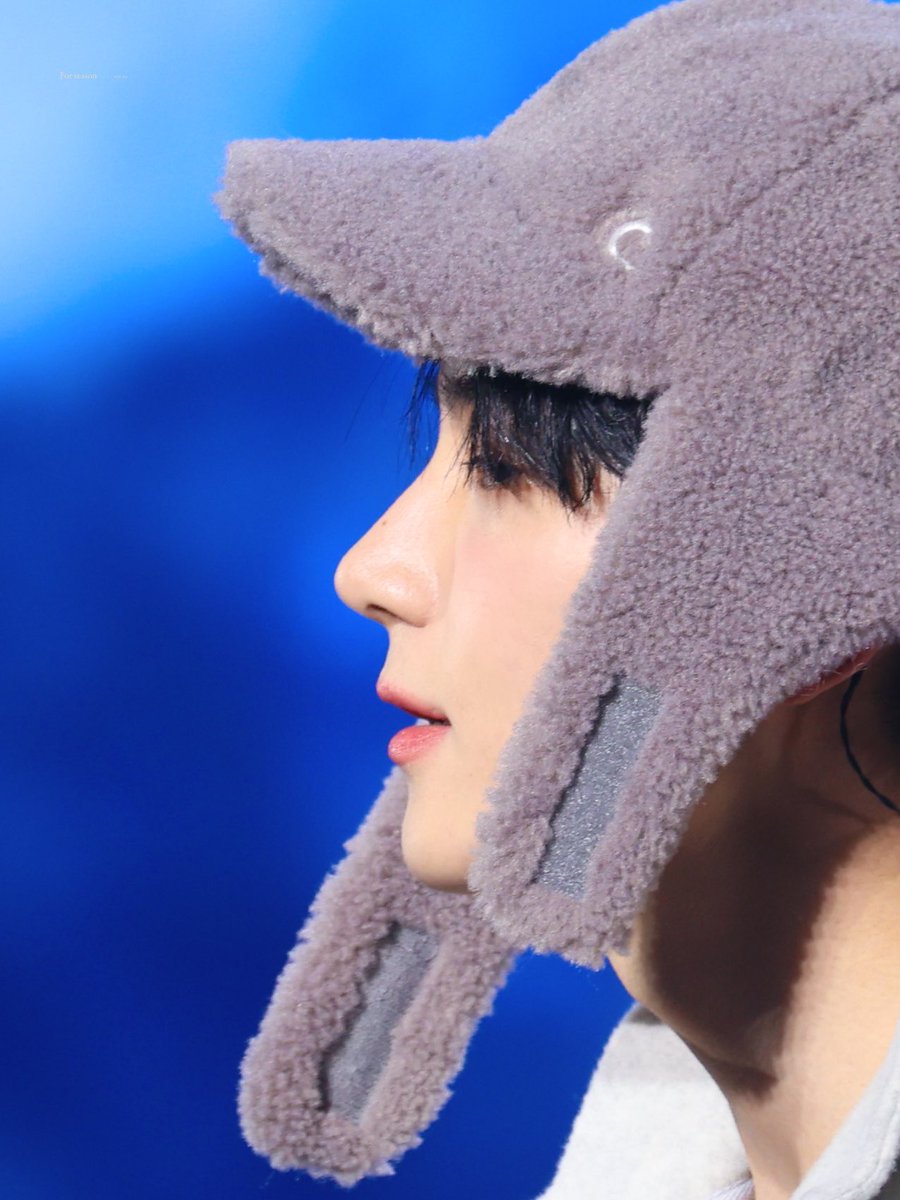 𝑭𝒐𝒓 𝒔𝒆𝒂𝒔𝒐𝒏 tweet media