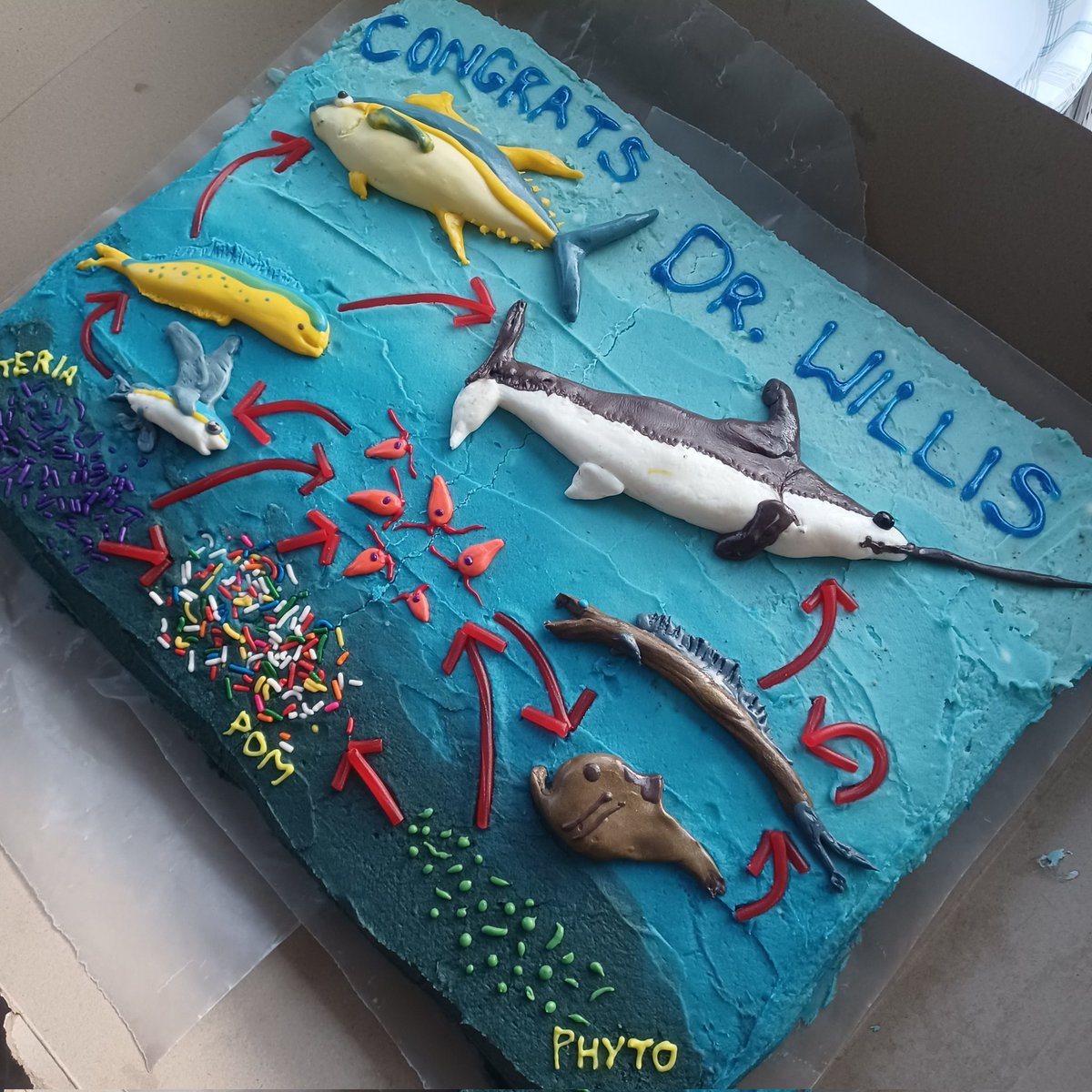 Dr Ciara Willis tweet media