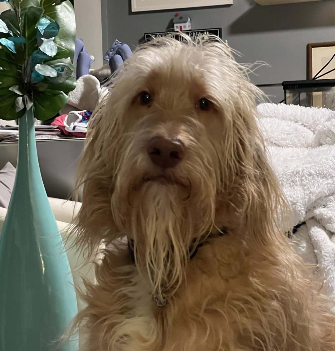 Owen Wilson offers his heart shaped nose to anyone who needs it.