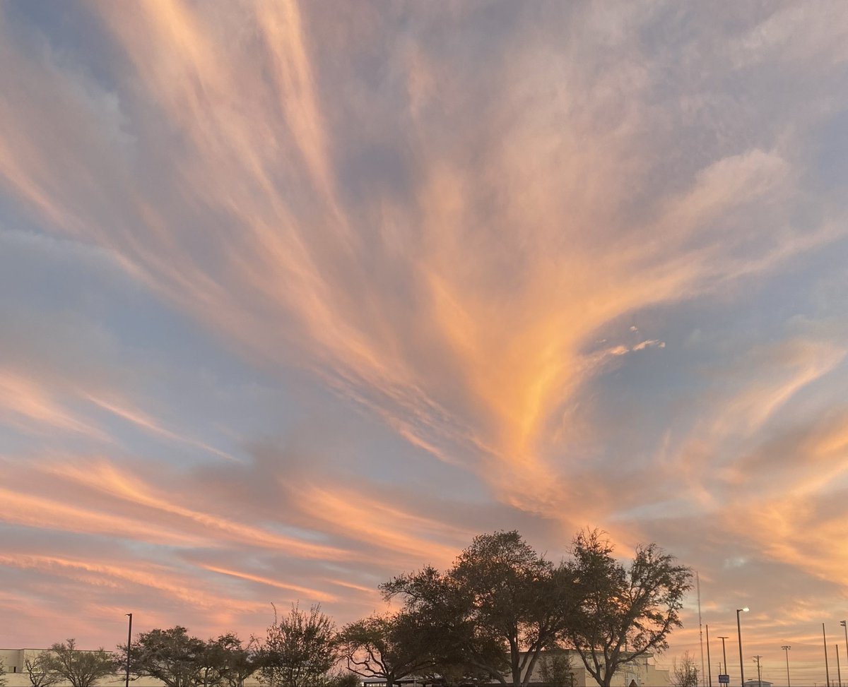 VIPCHIC's tweet image. After the Basketball game in Texas