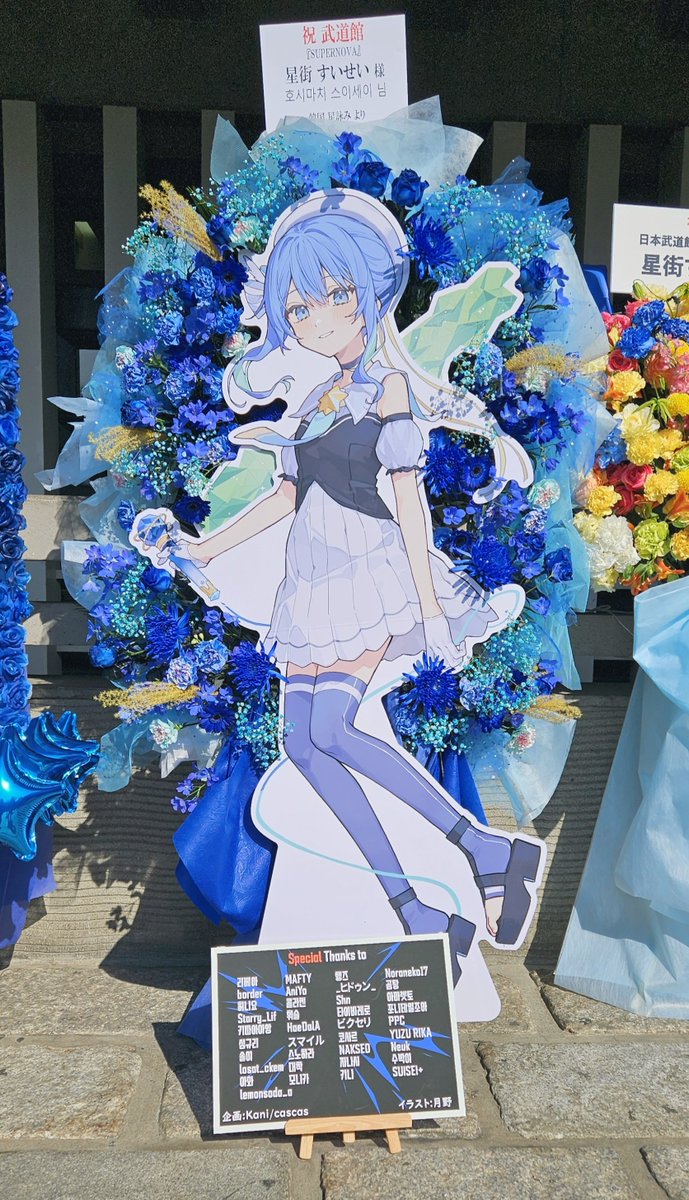 ☄️お知らせ☄️ すいちゃんの武道館LIVE 