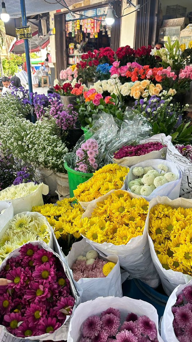 sudhatwtz's tweet image. Hey.. Welcome #Feb ❤
Bouquets picking 😍
#GoodMorningEveryone 💐