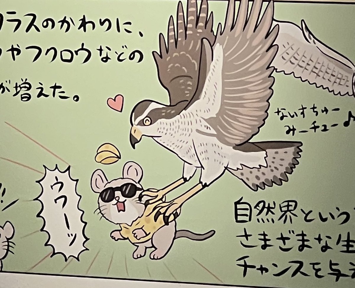 友人でもあり家族で大ファンのぬまがさワタリさんがめっちゃ関わってる科博の鳥展に。
入場待機40分で中も大盛況。
ぬまがささんのイラストコミックも沢山展示されてて楽しかった。
鳥可愛いな。
ぬまがささんの読者また増えちゃうじゃんと思ったがこの大量の人全てがぬまがささんのファンなのか… 