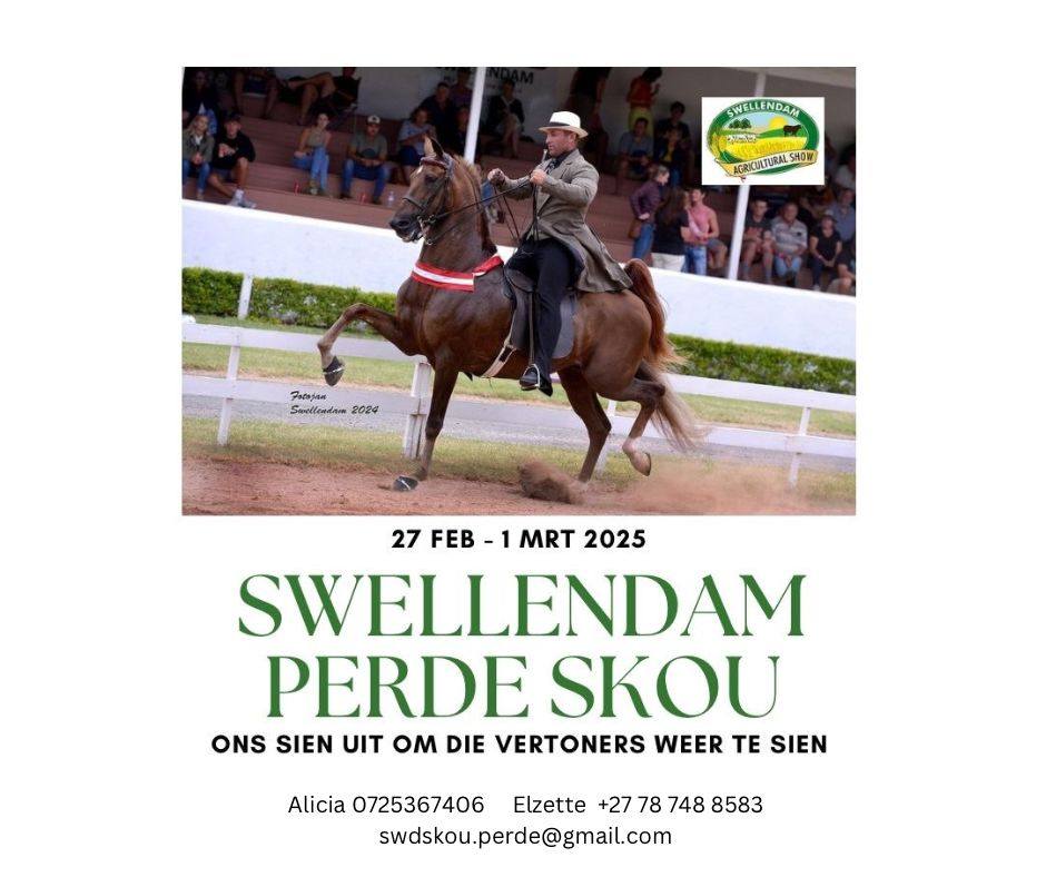 @veeplaas1 tweet media