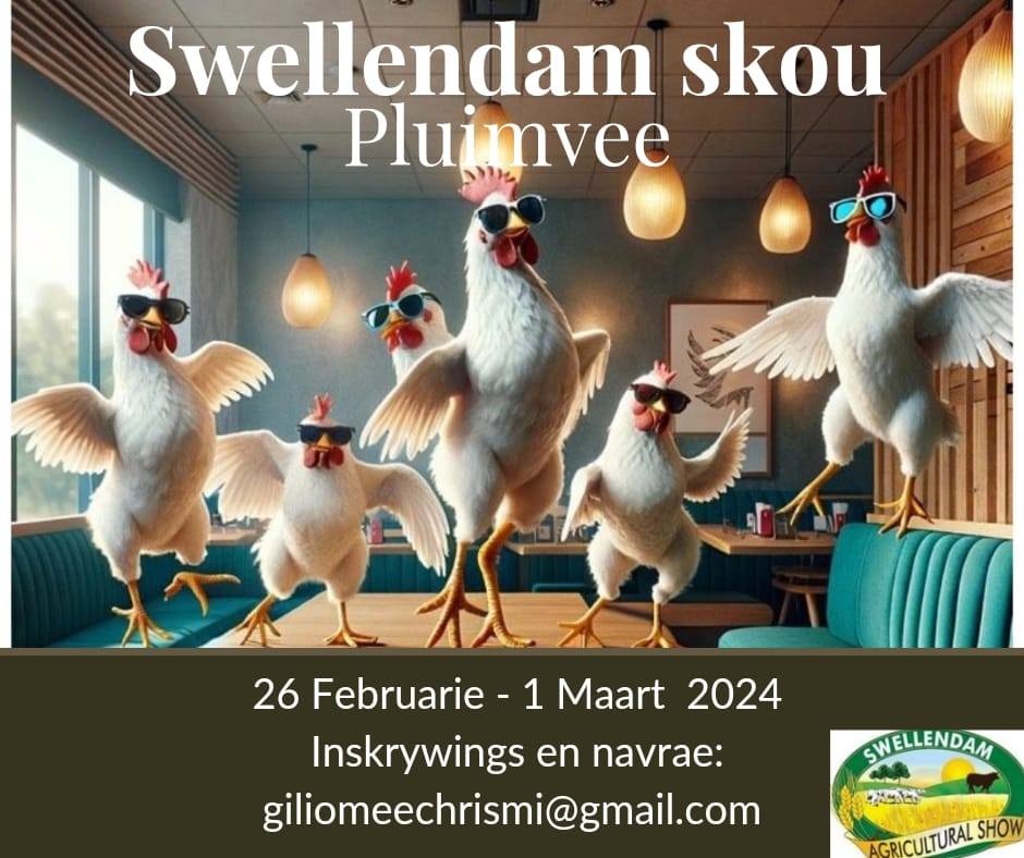@veeplaas1 tweet media
