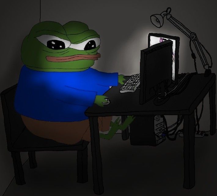 Elon The Degen Cat ZEEK OwO tweet media