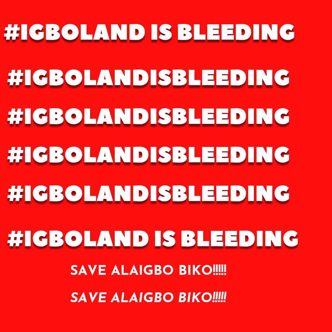abayo1216's tweet photo. @NoNonsensezone #igbolandisbleeding
#igbolandisbleeding
#igbolandisbleeding
#igbolandisbleeding
#igbolandisbleeding
#igbolandisbleeding
#igbolandisbleeding
#igbolandisbleeding
#igbolandisbleeding https://t.co/ryj6VUckLJ