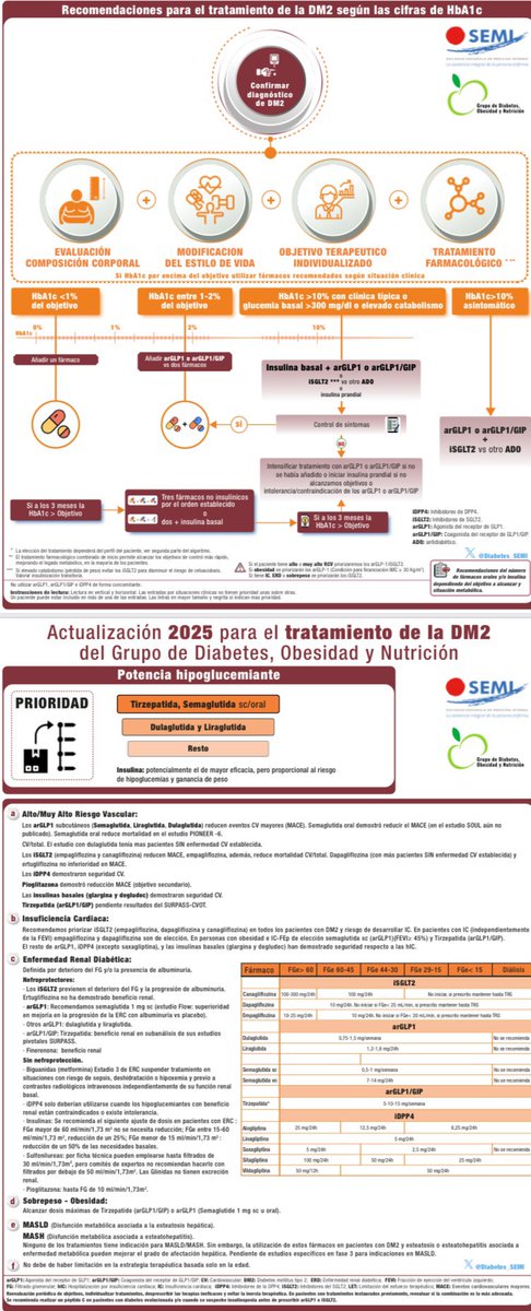 Presentado ayer en su reunión anual en Zaragoza la actualización 2025 del algoritmo para el tratamiento de la Diabetes del grupo de diabetes, obesidad y nutrición de la SEMI. 
fesemi.org/sites/default/…