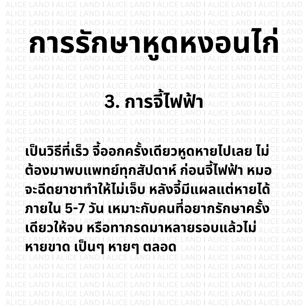 Alice_Land tweet media