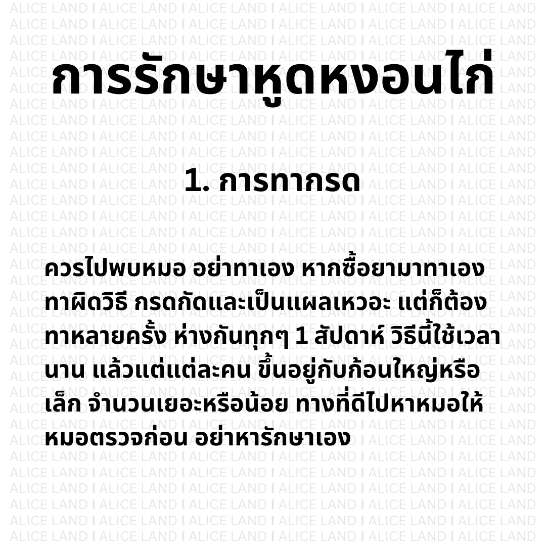Alice_Land tweet media