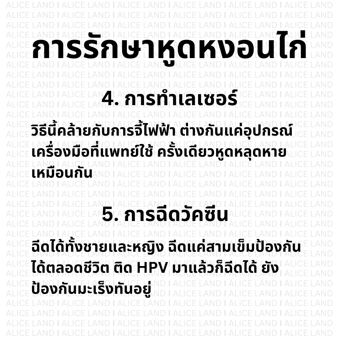 Alice_Land tweet media