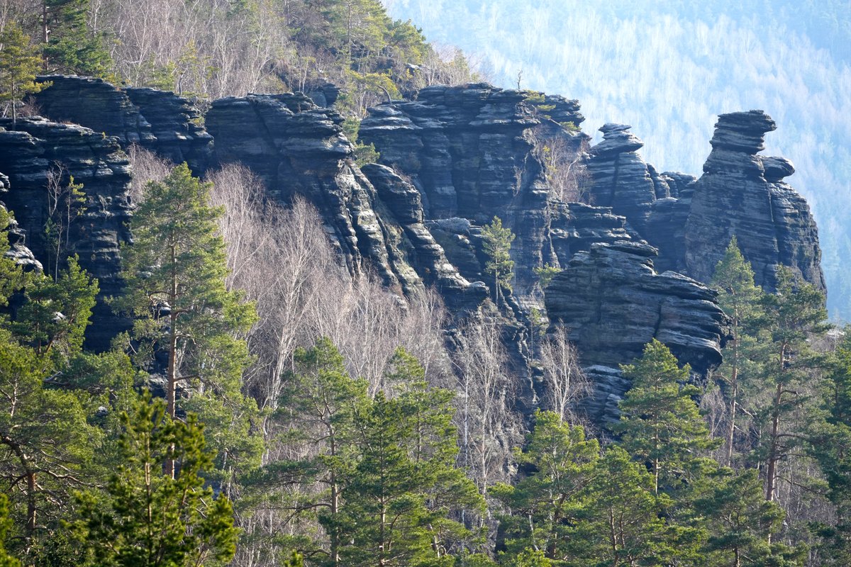 Forstler1's tweet image. Vor 100 Millionen Jahren befand sich hier ein riesiges Meer, dessen auf dem Grund liegender Sand sich dank Kreide- und Toneinschlüsse verfestigte. Als sich die Landschaft hob, das Erzgebirge entstand im Süden, im Norden wurde das spätere Lausitzer Gebirge eingeschoben, verschwand…