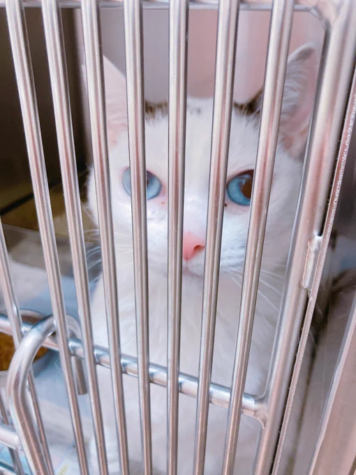 面会!!!!!!!!!!!!
