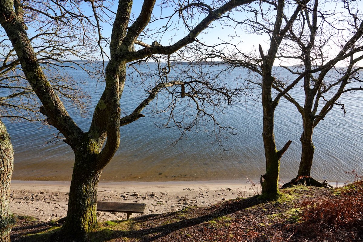 LesleyCashell's tweet image. Shipstal Point, Arne @StormHour @ThePhotoHour @BBCSouthWeather @goDorset @visit_dorset @DorsetMag @lovefordorset @GreenDorset @Dorset_NL @dorsetlandscape