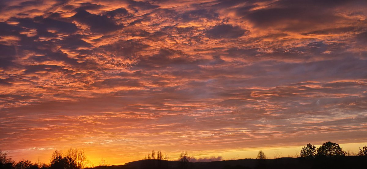 stormchasinchick tweet media