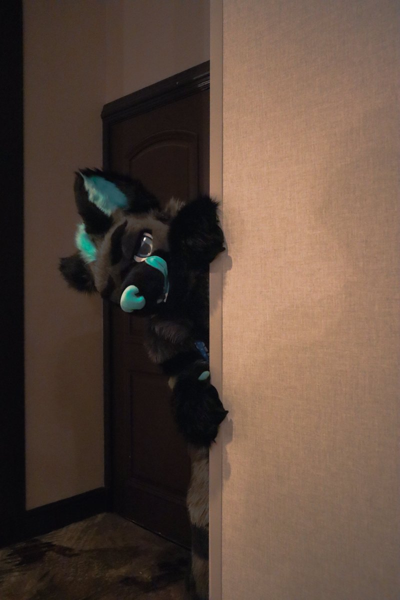 When you shake the bag of treats
📸:@TexxBottomTexx

#FursuitFriday #FursuitEveryday #fursuit #furry