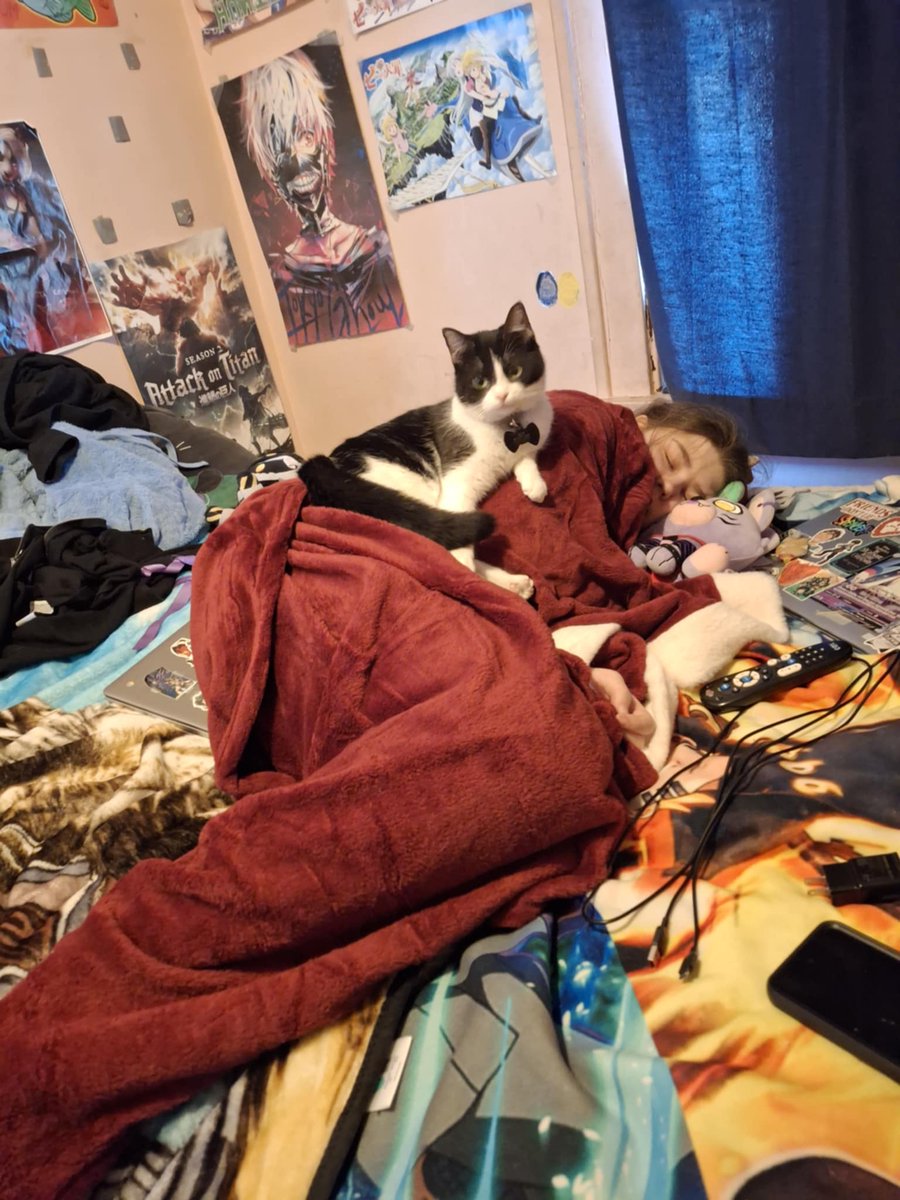 StephanieHaluza's tweet photo. My sister found my cat on me while I was asleep after work I love my furry best friend https://t.co/5sfgWxNymu