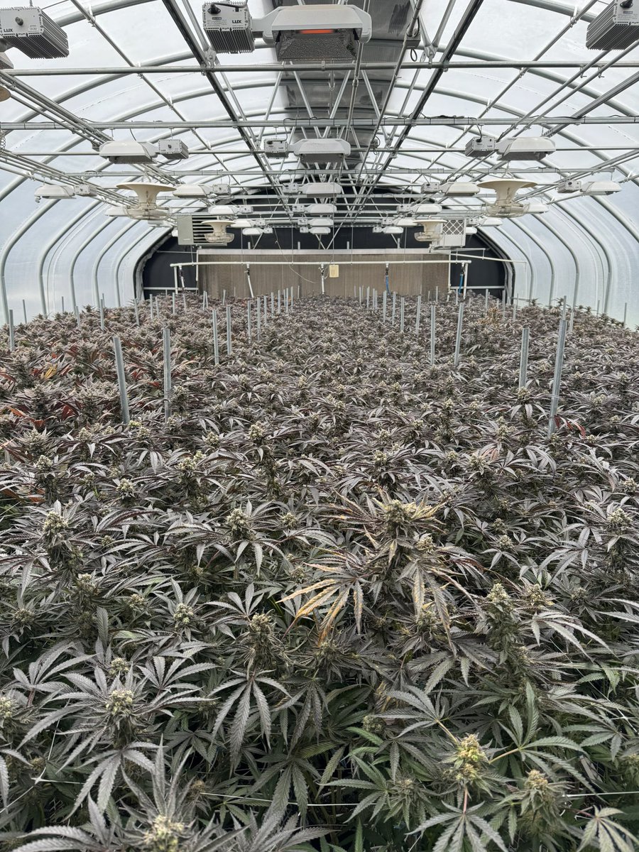 OfficialFSOTD's tweet photo. Have you seen the @TerpMansion Croptober VLOG ?! 🔥🔥🔥 CHECK THIS OUT https://t.co/UVmH3fbYXm https://t.co/vxVTKE6G1e
