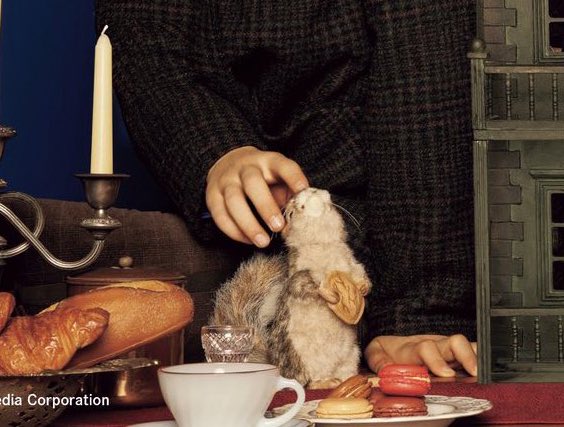 N8MM822's tweet image. リク🐿️🐈‍⬛🥹🥹🥹