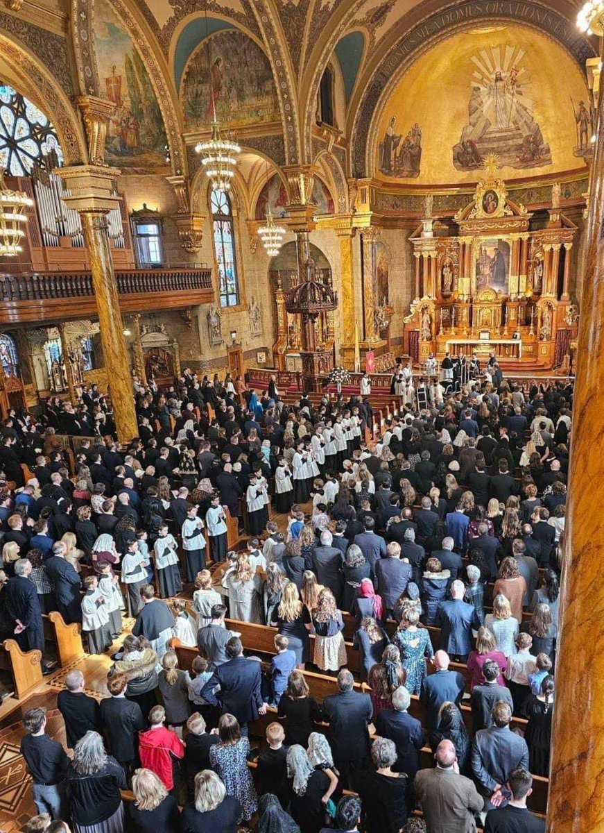 Sachin Jose tweet media