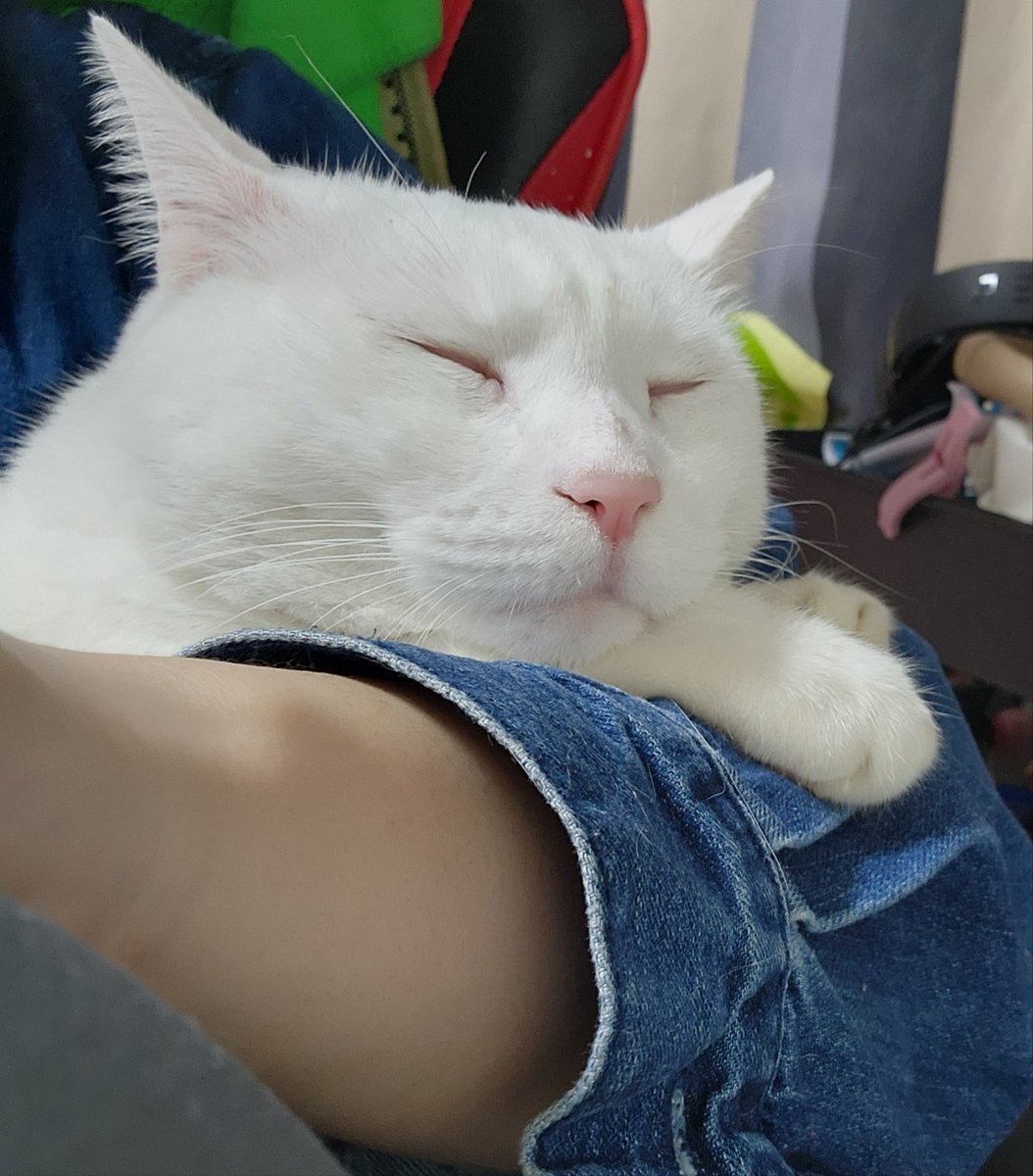 해무리𝖍𝖆𝖊𝖒𝖚𝖗𝖎~ -완결- (@hae_rr) on Twitter photo 