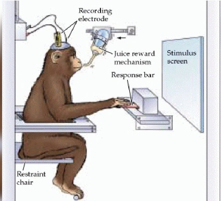 RentonLiar tweet media