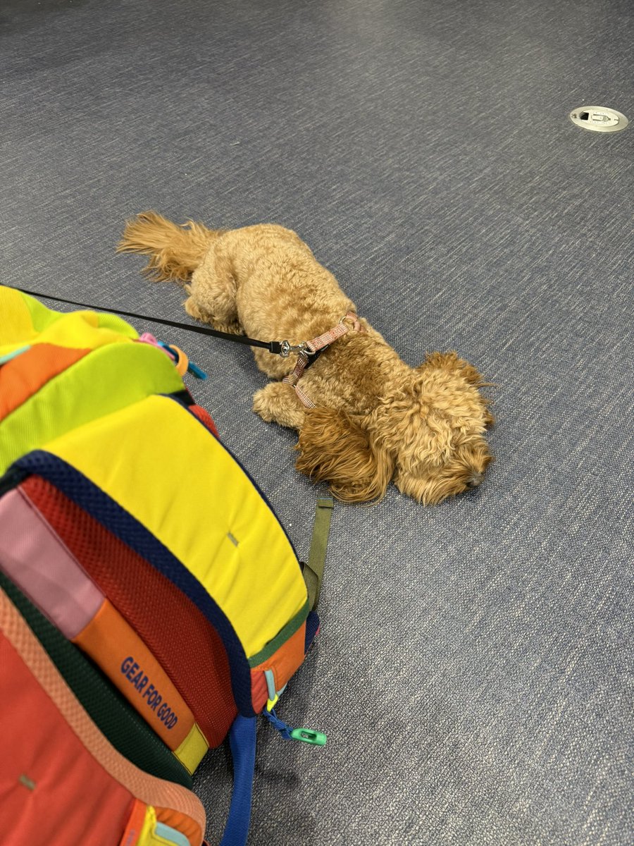 How we feel about flying tonight. ✈️