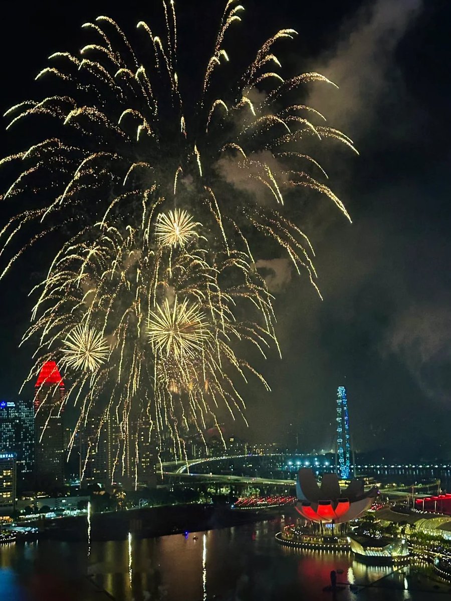 光の舞が夜を彩り、夢のような瞬間が広がる🎇💫