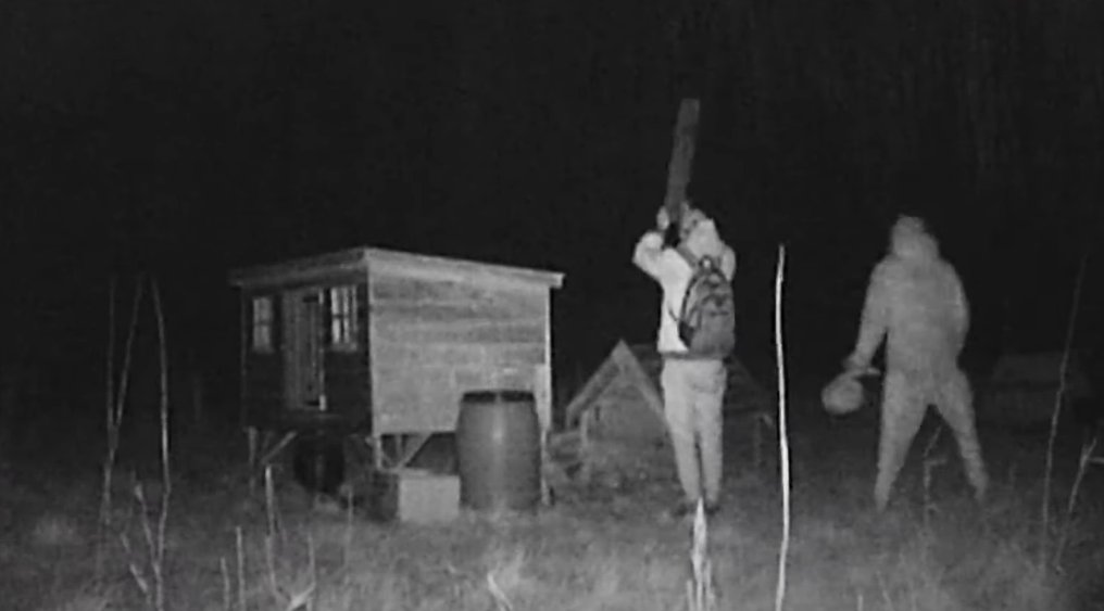 Politie zoekt dierenbeulen in Veldhuizen