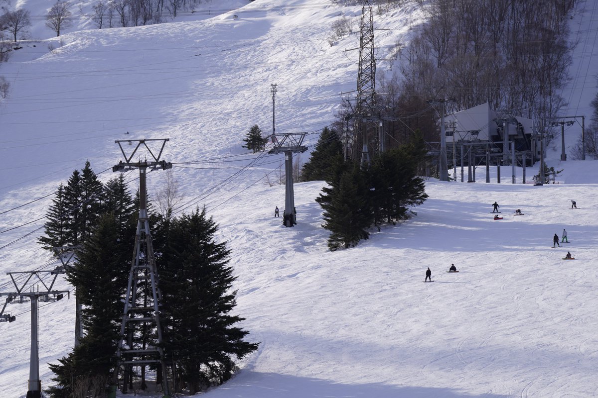 中学校では、1/27~1/29の3日間でスキー実習を行いました⛷❄
初心者から上級者まで、それぞれが目的をもって実習に励んでいました🌟
