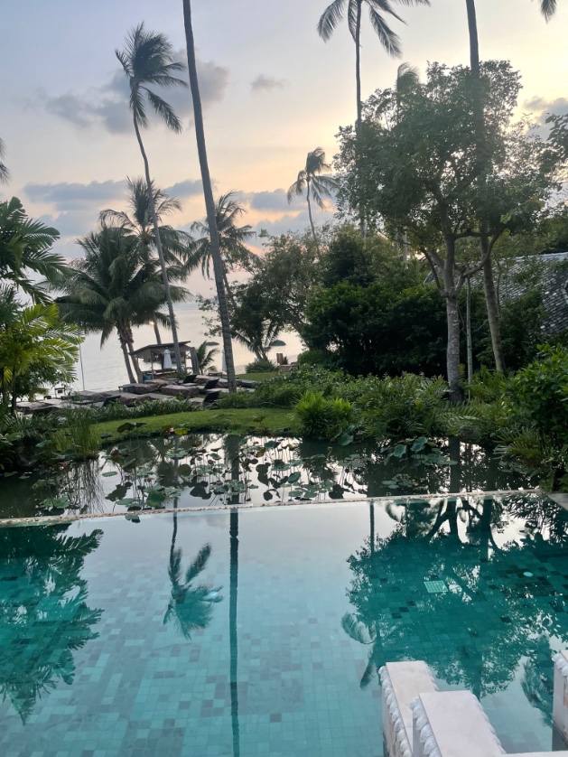 f13ldy's tweet photo. At a wellness retreat in my Stonie swimmers if anyone fancies a scrap between the beetroot &amp; tahini smoothies https://t.co/rhLlz3Lwu7