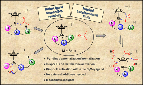 Ken Lo (@bhkenlo) on Twitter photo Diverse and Selective Metal–Ligand Cooperative Routes for Activating Non-Functionalized Ketones | Inorganic Chemistry pubs.acs.org/doi/10.1021/ac… Ferrer, Passarelli, Carmona, and co-workers <a href="/InorgChem/">Inorganic Chemistry</a> #rhodium #iridium #Cp #TMFLPs #CH #ketones #FrustratedLewisPairs #dearomatized_py Diverse and Selective Metal–Ligand Cooperative Routes for Activating Non-Functionalized Ketones | Inorganic Chemistry pubs.acs.org/doi/10.1021/ac… Ferrer, Passarelli, Carmona, and co-workers <a href="/InorgChem/">Inorganic Chemistry</a> #rhodium #iridium #Cp #TMFLPs #CH #ketones #FrustratedLewisPairs #dearomatized_py