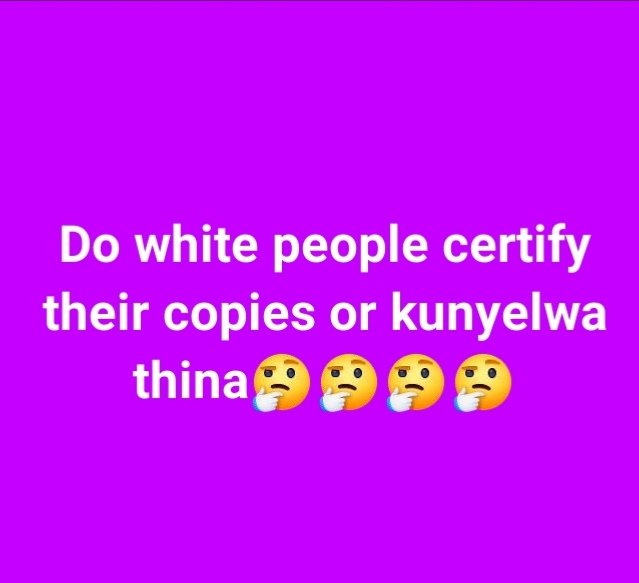 SNOWEY✨ tweet media