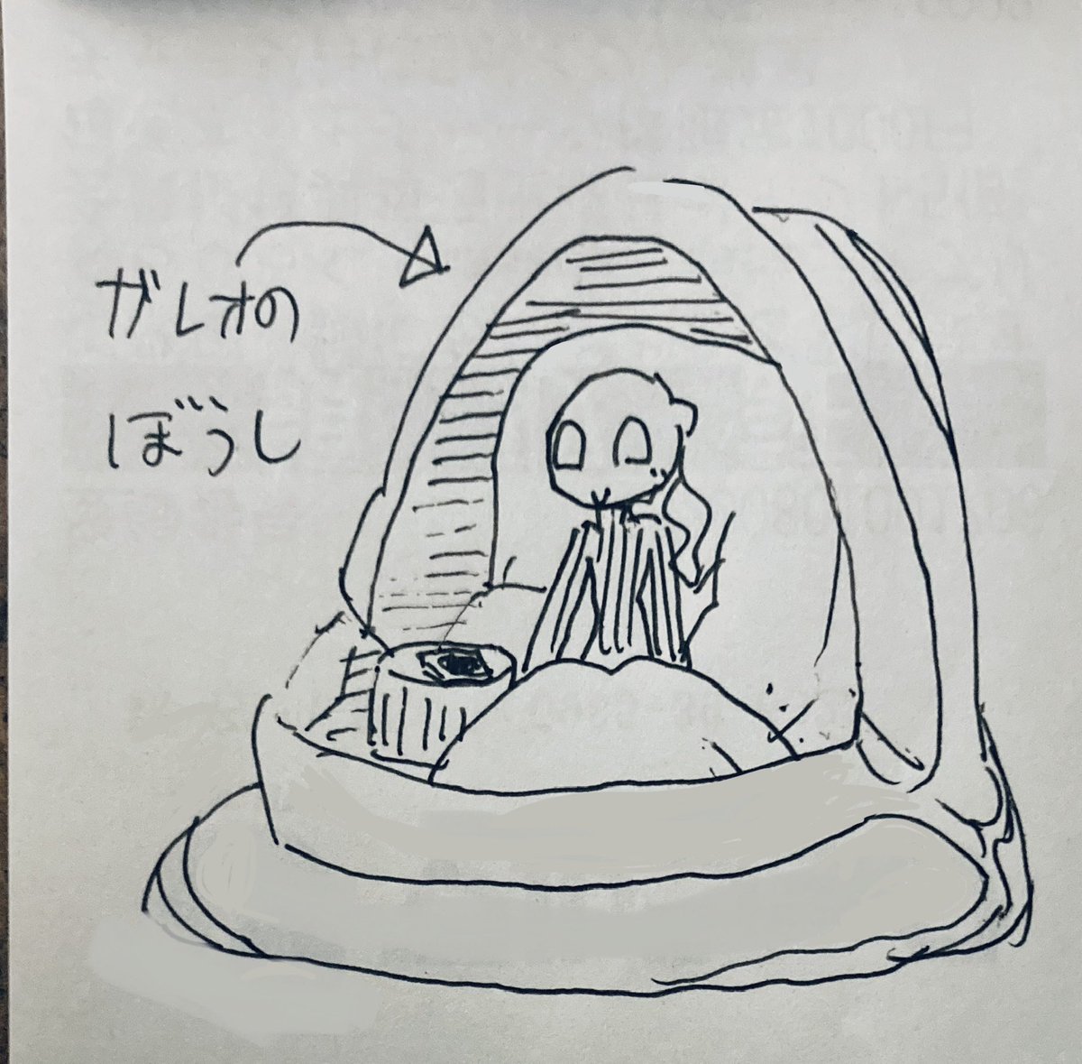 @guroru_shark 今日からここ(ガレオ宅)がキミのお家だよ。帽子は…たまに返してくれると嬉しいけど😓 