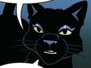 The Dark Forest tweet media