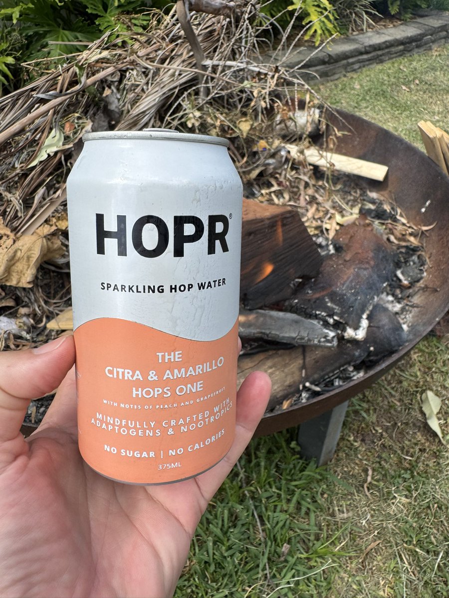 Gm Fam 

Trying some alcohol free beer today, smash or pass?