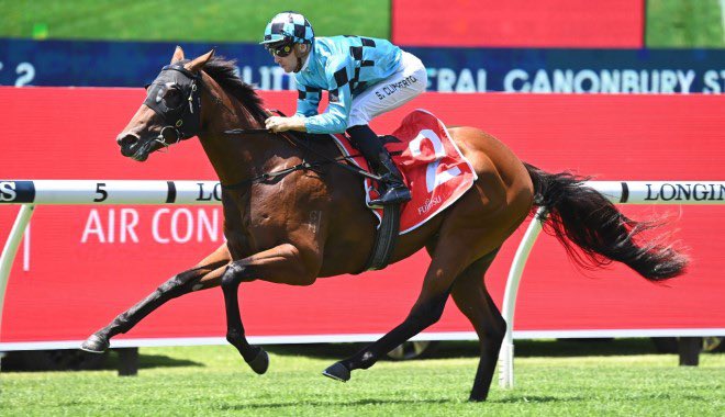 TFI_Racehorses's tweet photo. In winning the Arrowfield Canonbury Stakes today, Blitzburg (Snitzel) gave TFI our fourth win from the past 6 runnings of the G3 2YO feature 🙌 Our past winners are 2020- Prague (Redoute’s Choice), 2022- Best Of Bordeaux (Snitzel), 2024- Prost (Snitzel).  All 4 colts are @mmsnippets graduates and all are sired by race sponsor @ArrowfieldStud stallions.  💙🖤