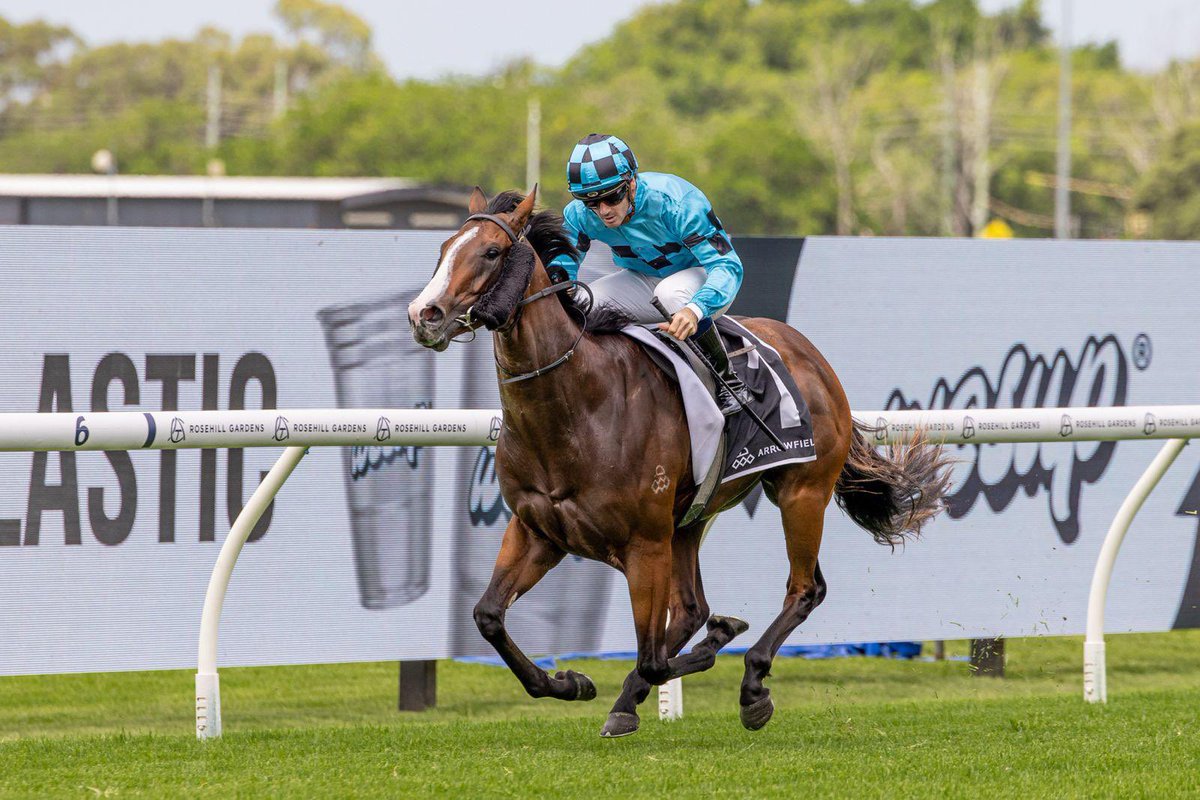 TFI_Racehorses's tweet photo. In winning the Arrowfield Canonbury Stakes today, Blitzburg (Snitzel) gave TFI our fourth win from the past 6 runnings of the G3 2YO feature 🙌 Our past winners are 2020- Prague (Redoute’s Choice), 2022- Best Of Bordeaux (Snitzel), 2024- Prost (Snitzel).  All 4 colts are @mmsnippets graduates and all are sired by race sponsor @ArrowfieldStud stallions.  💙🖤