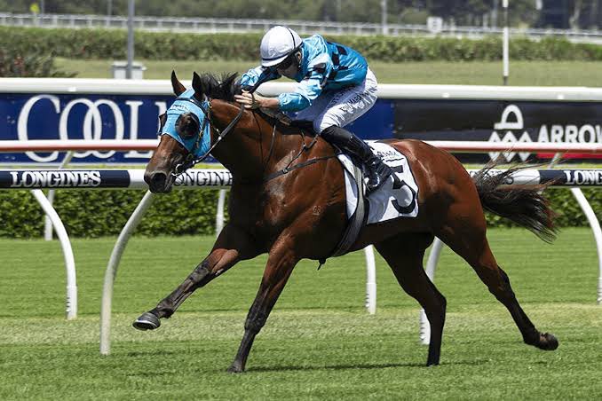 TFI_Racehorses's tweet photo. In winning the Arrowfield Canonbury Stakes today, Blitzburg (Snitzel) gave TFI our fourth win from the past 6 runnings of the G3 2YO feature 🙌 Our past winners are 2020- Prague (Redoute’s Choice), 2022- Best Of Bordeaux (Snitzel), 2024- Prost (Snitzel).  All 4 colts are @mmsnippets graduates and all are sired by race sponsor @ArrowfieldStud stallions.  💙🖤