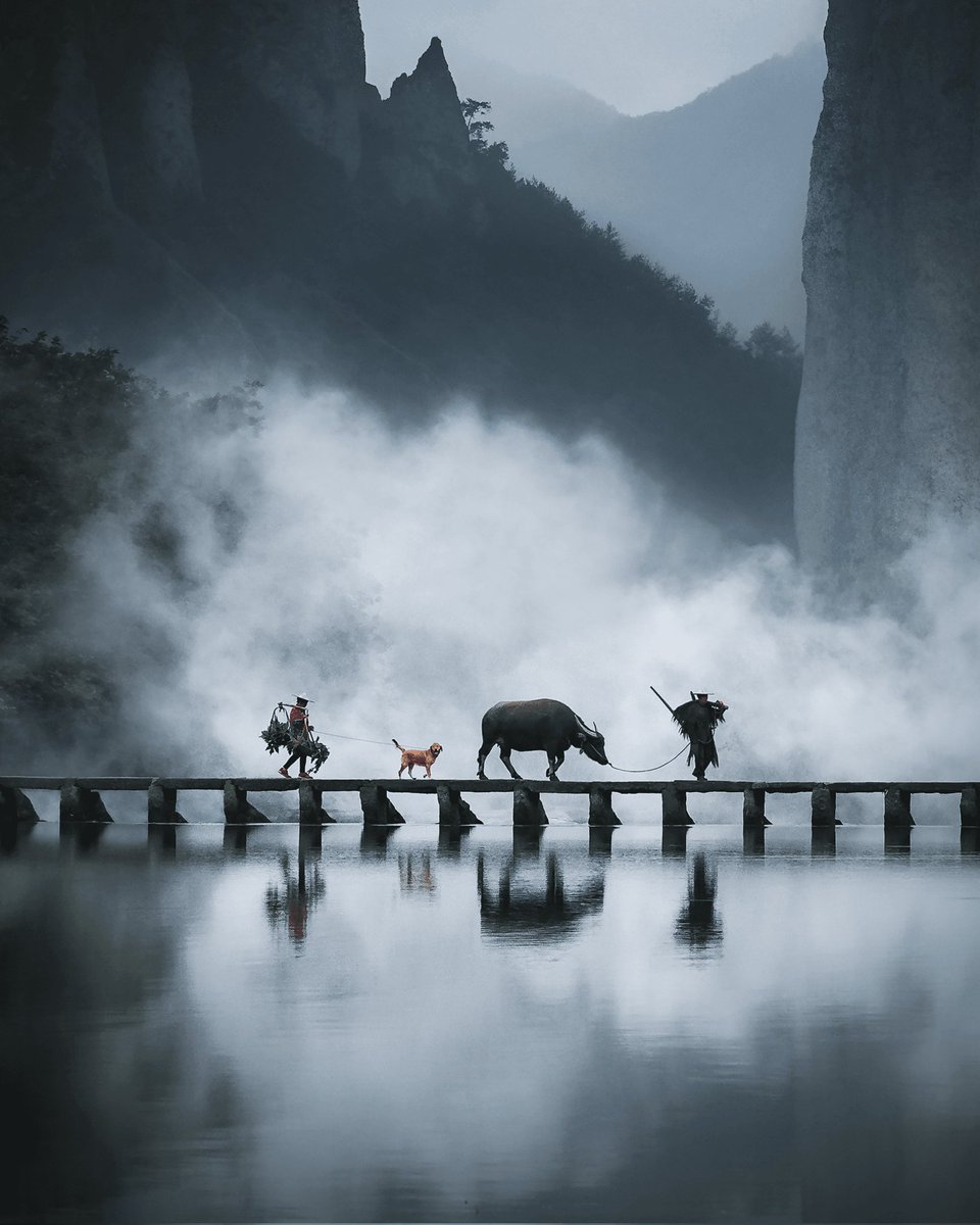 Hakuna Matata by <a href="/JordHammond/">Jord Hammond</a>. Also a banger. Always has been. Always will be.