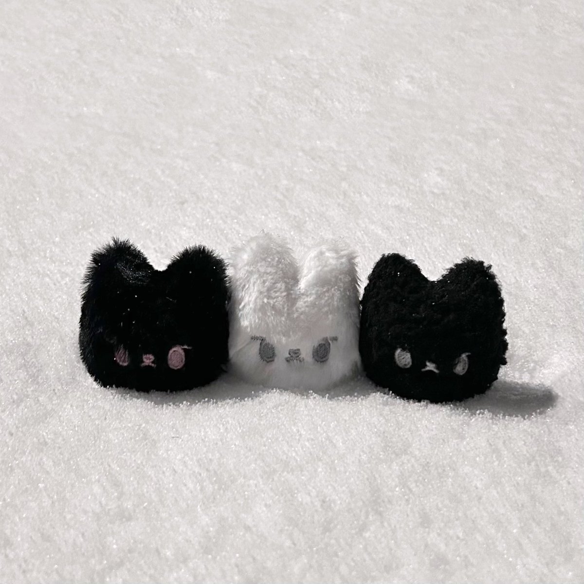 ̊₊✯͡ 🄷🄰🄿🄿🅈 🄳🄾🅈🄾🅄🄽🄶 🄳🄰🅈 ✩⡱

도영이의 생일을 기념하여 #RT 추첨 ②분께 도영이 수제 인형을 랜덤으로 보내드려요🍀

⍟ 국내 주소지 한정

#시리도록_눈부실_도영이의_서른 
#ToOurLittleWaveDoyoung