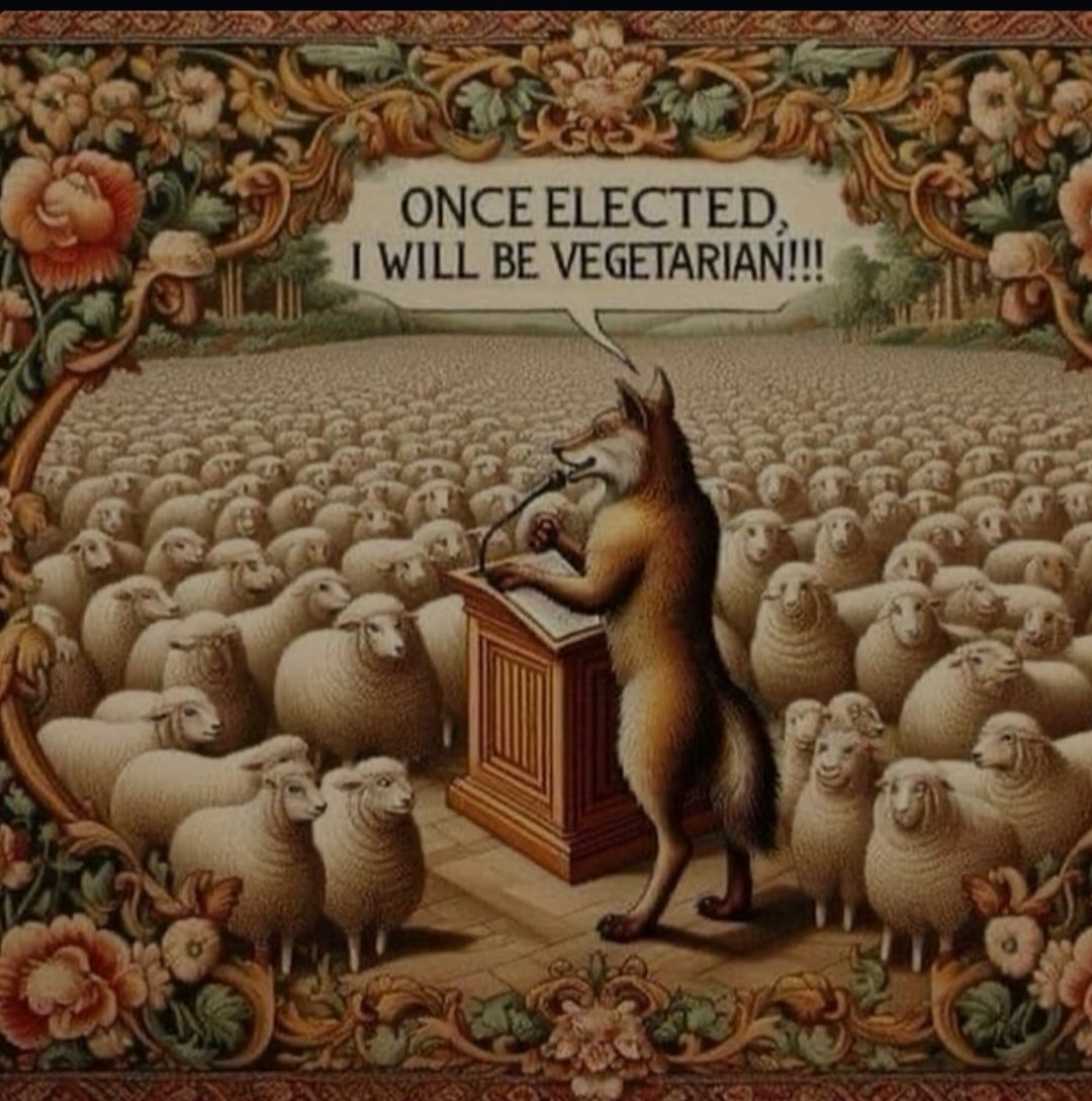 Linzgaurider tweet media